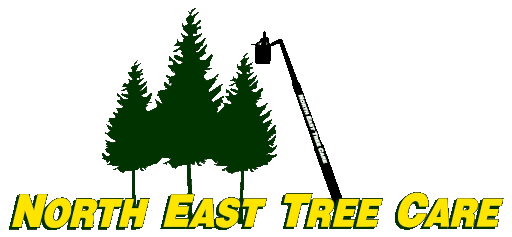 North East Tree Care